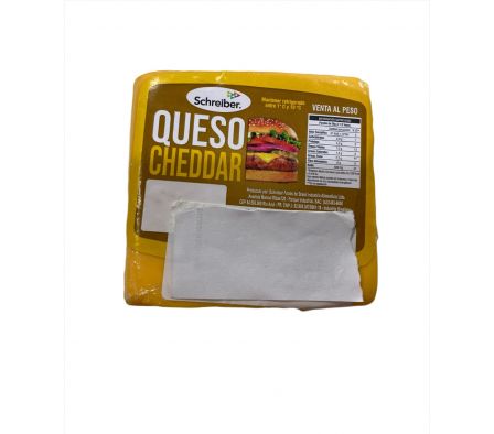 QUESO DANBO S/ LACTOSA 500 GR