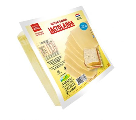 QUESO DANBO 250GR LACTOLANDA