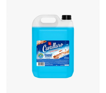 DESOD.ANTIBACTERIAL CAVALLARO MARINA 5lt