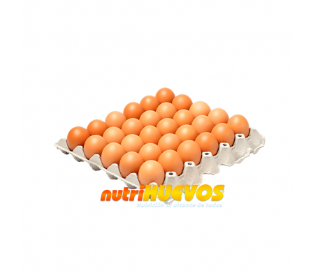 HUEVOS NUTRIHUEVOS 1unid.