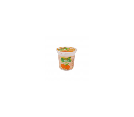YOGHURT TREBOL POTE DURAZ 140  GR