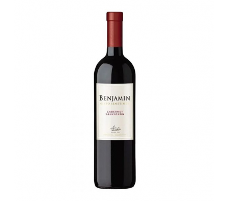 VINO BENJAMIN NIETO MALBEC 750 ML