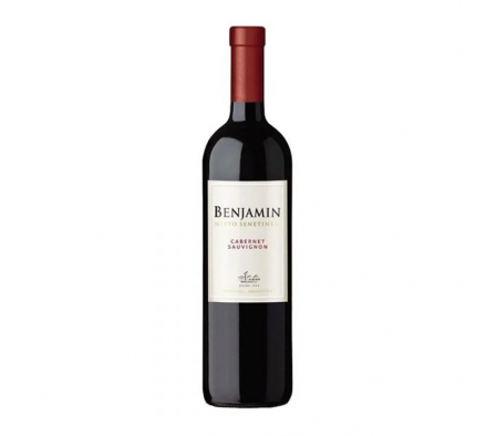 VINO BENJAMIN NIETO CABERNET SAUVIGNON 750 ML