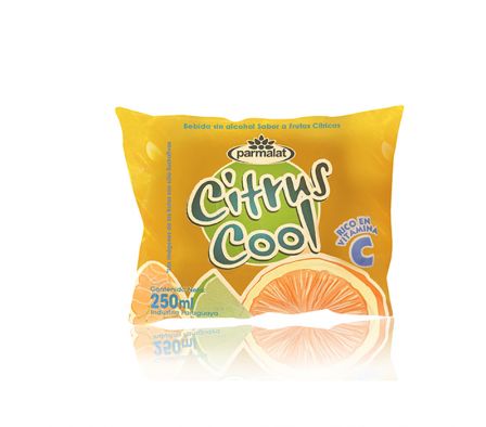 JUGO CITRUS COOL 250ml SACHET