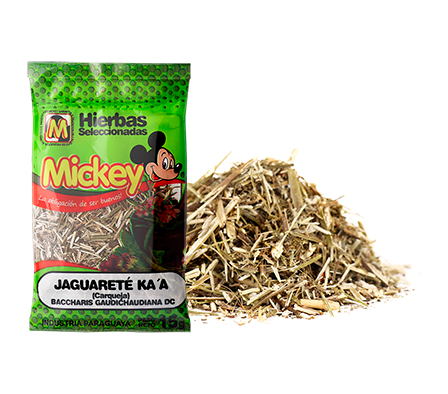 JAGUARETE KAA MICKEY 15  GR