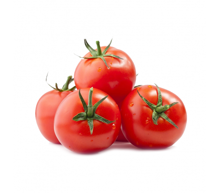 TOMATE SANTA CRUZ KG