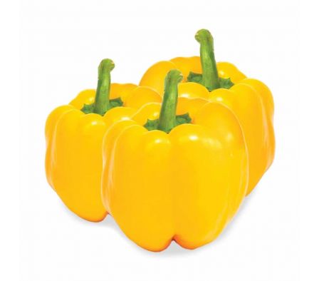 LOCOTE AMARILLO X KG