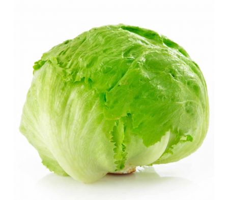 LECHUGA REPOLLADA X KG