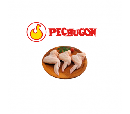 ALITA PECHUGON FRESCA X KG