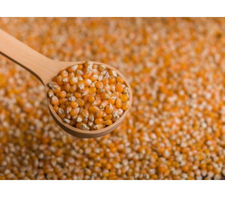 MAIZ PORORO  GRANEL X KG