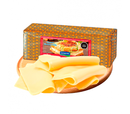 QUESO MUZZARELLA LIGHT CONAPROLE  XKG