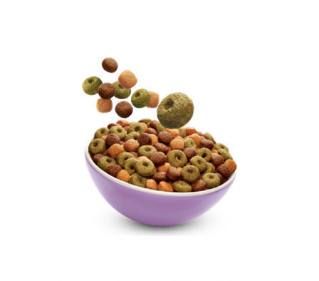 ALIM.PERRO MASTER DOG GRANEL xkg