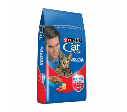 ALIMENTO P/GATOS CAT CHOW S/COL.1 KG CARNE