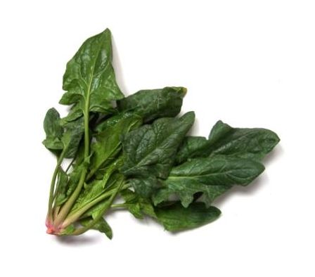 ESPINACA NEGRA  X UNIDAD