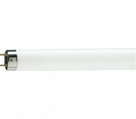 TUBO FLUORESCENTE 36W/54 LUZ DIA