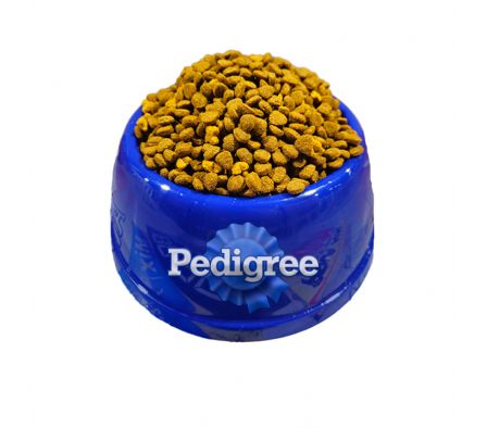 ALIM.PEDIGREE RAZA PEQ.ADULTO xKG