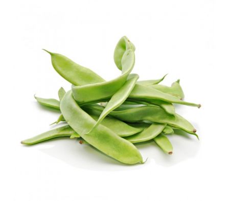 CHAUCHA KG