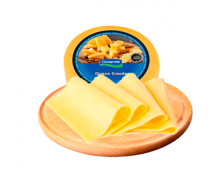 QUESO GOUDA CONAPROLE X KG