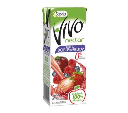 JUGO VIVO NECTAR BARRIES 190 CC 