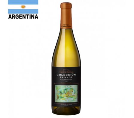 VINO NAVARRO CORREAS CHARDON 750 CC 