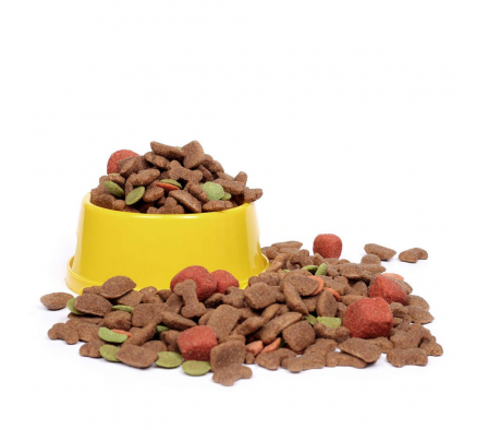 ALIMENTO P/PEDIGREE CARNE VEG.GRANEL xKG