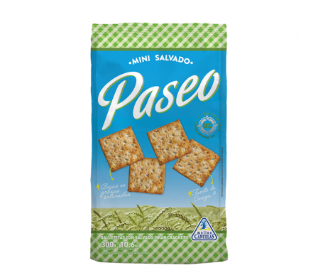 GALLETITA PASEO SALVADO 300  GR