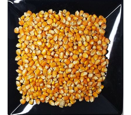 MAIZ TUPI MOLIDO  GRANEL X KG