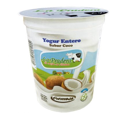 YOGHURT CREMOSO COCO 350  GR