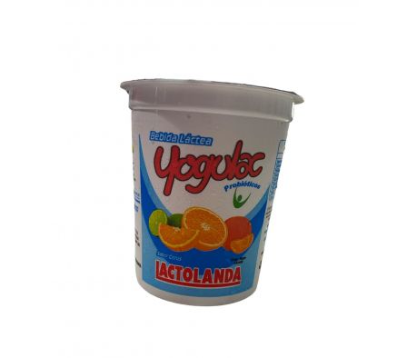 YOGHURT CITRUS 350  GR 