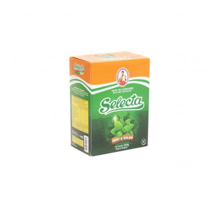YERBA SELECTA MENTA BOLDO 250  GR