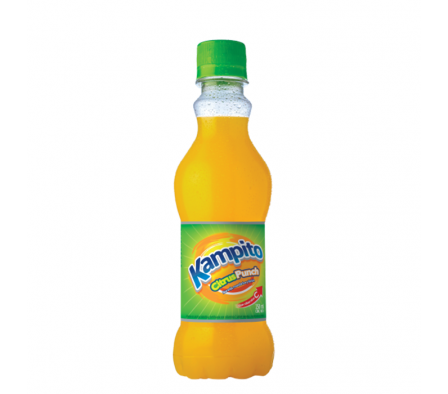 JUGO KAMPITO CITRUS 250 CC