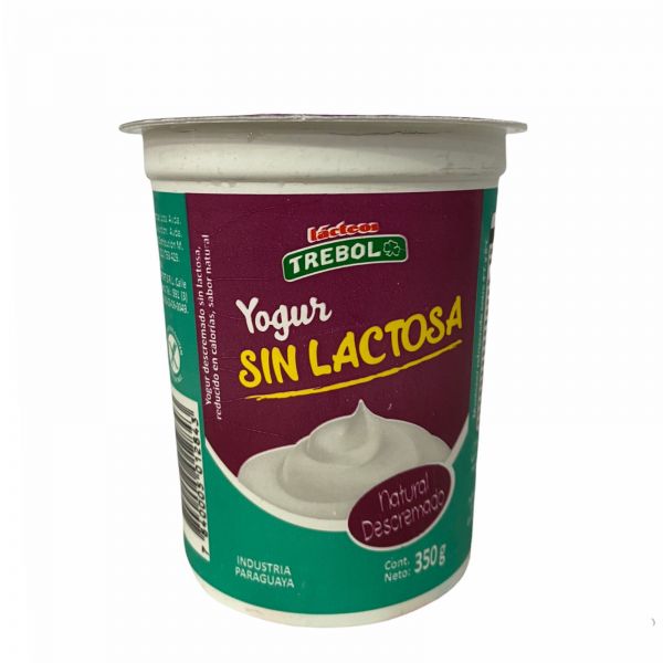 Yoghurt descremado sin lactosa 360 g